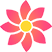 pIastrix.png